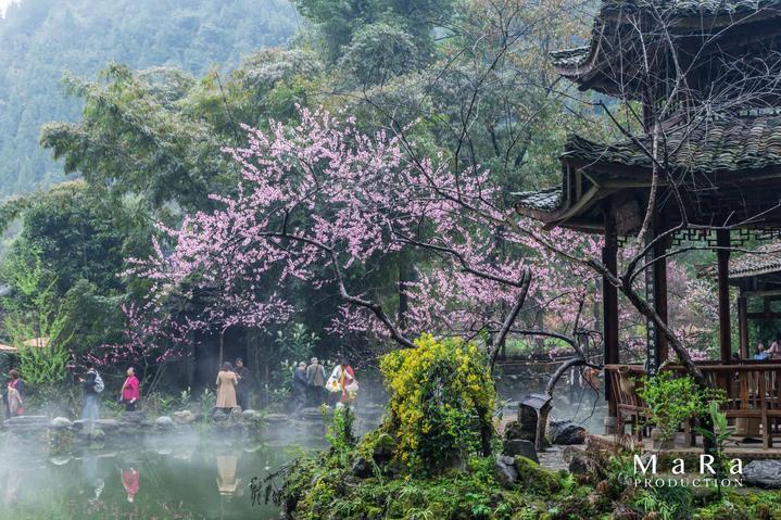 机智问答网页-解答你的疑问-海边捡的螃蟹能吃吗?多问不烦
